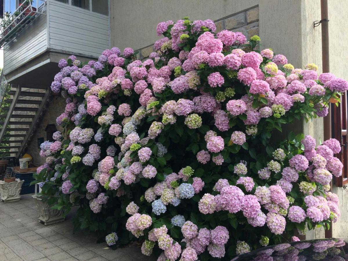 Casa Ortensia 치우시 델라 베르나 외부 사진